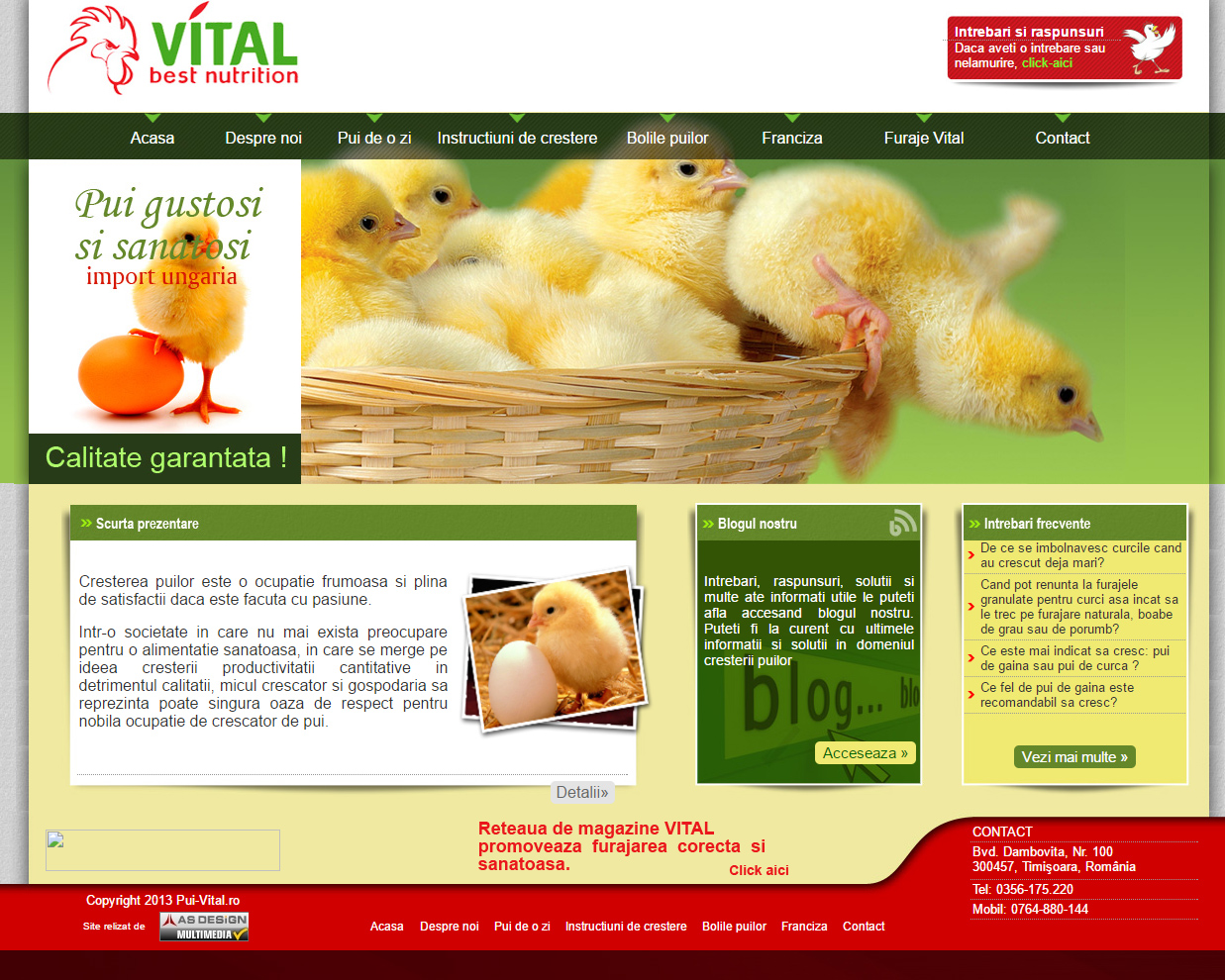 Web design firma produse avicole